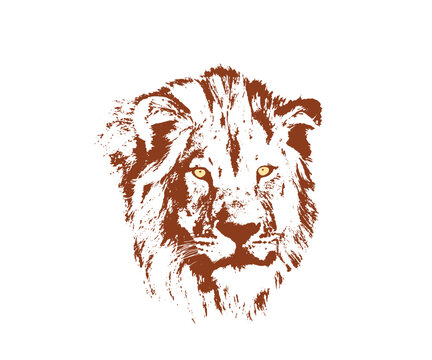Vector lion face for logos and symbols.
