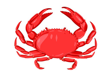 red crab isolated on white background