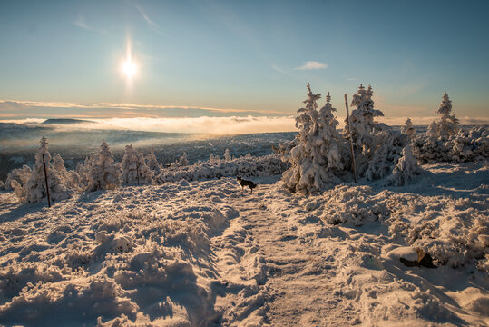 Winter