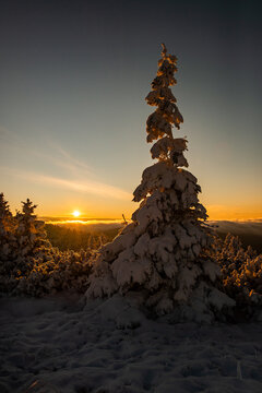 Winter