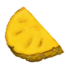Pineapple slice isolated on white background. Watercolor illustration.
