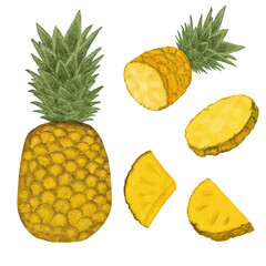 Pineapple set. Watercolor illustration. Isolated on white background.