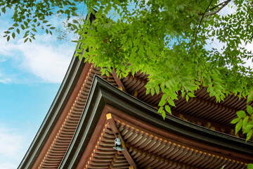 日本の寺社建築の美しさのひとつは屋根の軒ぞりです