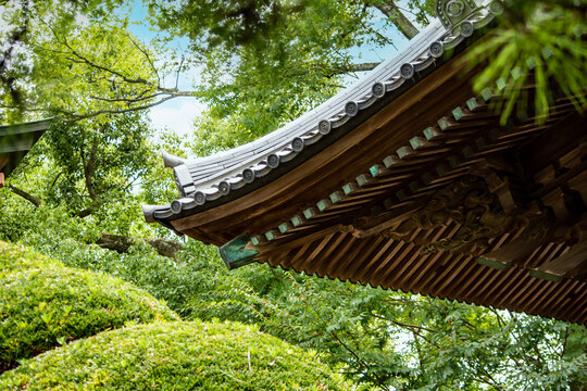 日本の寺社建築の美しさのひとつは屋根の軒ぞりです