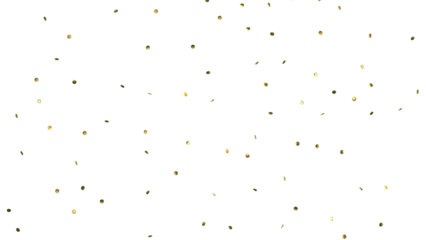  Golden Confetti's