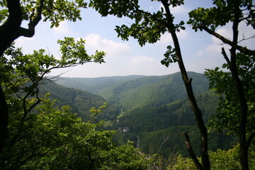 Wanderweg im Wald bei Boppard