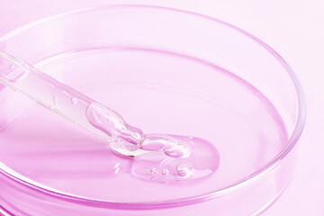 Transparent gel flowing from a pipette into a Petri dish. On a pink background. Close-up.