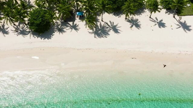 Aerial view of beautiful beach with palm trees in the tropics. Bantayan island, Philippines. Generative AI