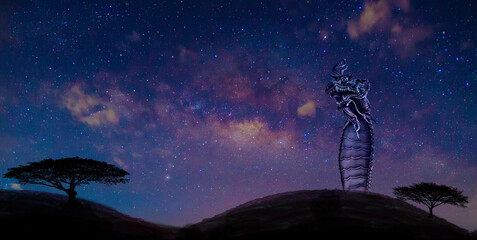 Silhouette of serpent on the dark night,faith and belief concept.