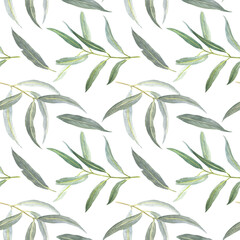 Fototapeta premium watercolor seamless pattern with leaves of eucalyptus