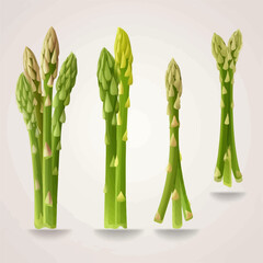 Asparagus vector emblem design