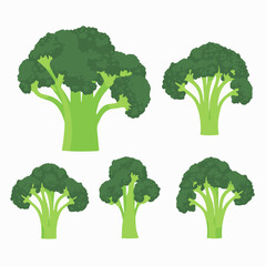 Illustrations of broccoli used in healthy food and nutrition education materials - obrazy, fototapety, plakaty