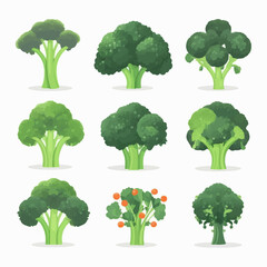 A set of broccoli illustrations with a vintage, retro feel