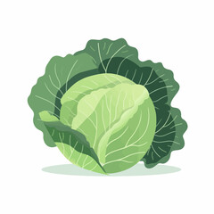 Fototapeta premium Cute and fun cabbage character collection
