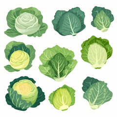 Playful and colorful cabbage and vegetable character illustrations