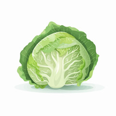 Fototapeta premium Realistic cabbage leaves vector set
