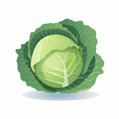 Fototapeta premium Modern flat-style cabbage and vegetable icon pack