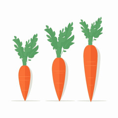 A set of flat carrot illustrations for your web or app design.