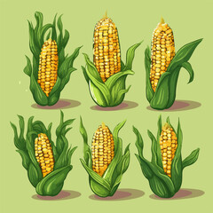 Vector image of fresh Corn on the cob
