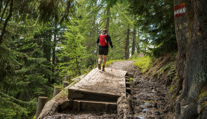 Caucasian hiker walking on a boardwalk in the forest. Hiking Trail in the forest. Austria. Summer,...