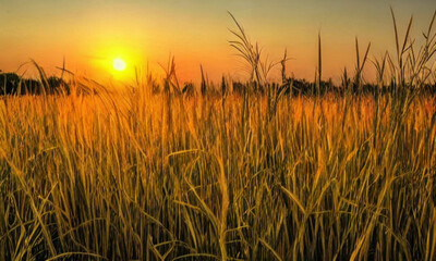 A field with the sun in the background. The countryside is vast and open, with tall green grasses stretching to the horizon. The sun is setting, its soft golden glow covering everything.
Generative AI