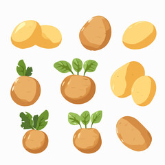 Set of potato vectors in a minimalistic style for clean and contemporary designs.