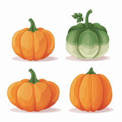 Set of vector illustrations capturing the beauty of pumpkins as decorative elements in home and garden settings.