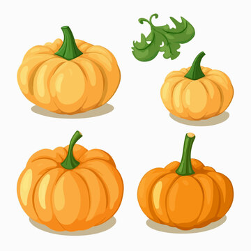 Set of pumpkin illustrations in a flat style for modern designs.