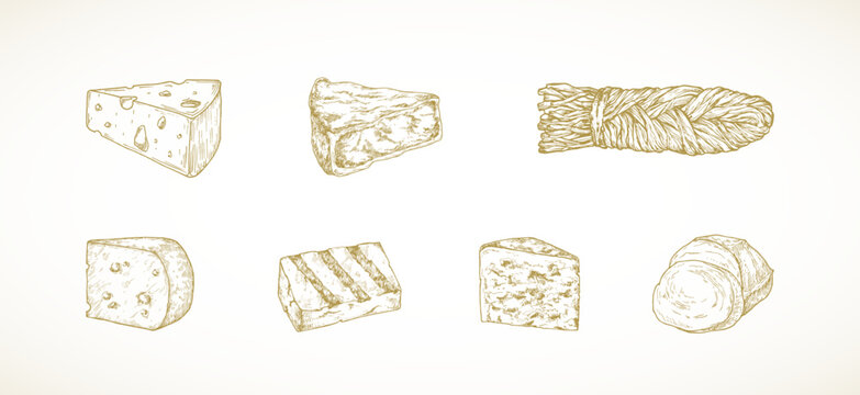 Hand Drawn Sketch Cheese Pieces Set. Engraving Style Roquefort, Gouda, Haloumi, Camembert, Mozzarella and Pigtail Suluguni Cheese Illustrations Collection Isolated