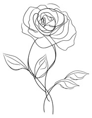monoline art of rose, continuous line art of rose