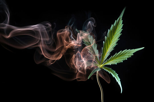 marijuana in smoke of on a black
