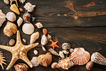Seashells and starfish on the dark wooden background with copy space. Flat lay, top view
