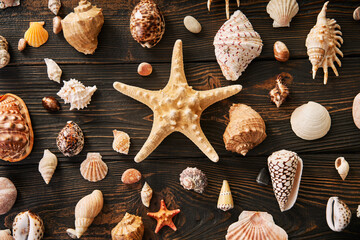 Seashells and starfish collection on dark wooden background, flat lay, top view