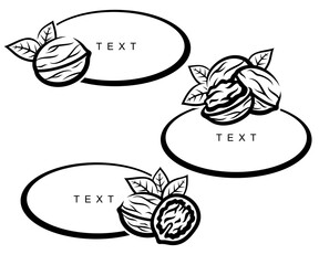 Walnut set. Collection icon walnut. Vector