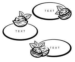 Walnut set. Collection icon walnut. Vector