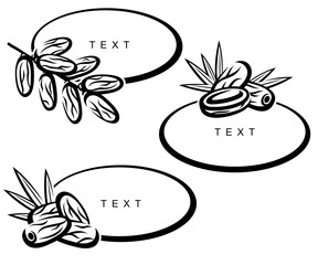 Dates fruit set. Collection icon dates fruit. Vector