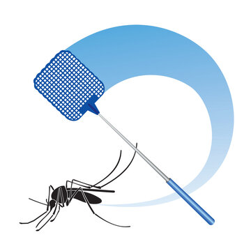 Mosquito_10