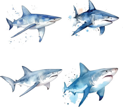  Shark watercolor paint collection