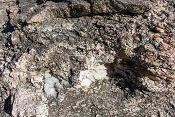 stone texture of rock