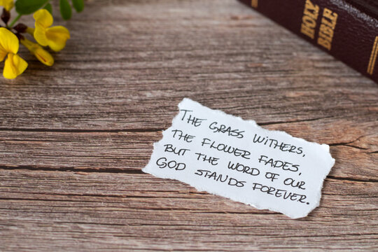 Grass withers, flower fades but the Word of God stands forever, handwritten verse on paper with closed holy bible book on wooden table. Scripture of Isaiah 40:8. Christian biblical concept.