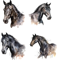 Black horse watercolor paint collection