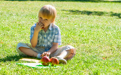 Little boy with an apple and a book in the park