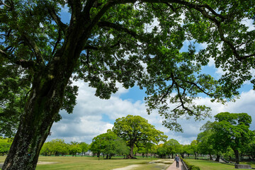 Views of the Ninomaru Park in Kumamoto on the Island of Kyushu, Japan.