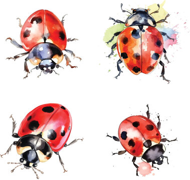 Ladybug watercolor paint collection