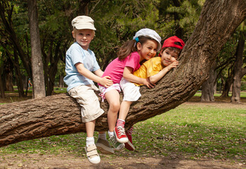Little children sit on a tree in the park