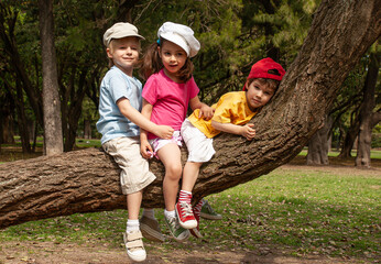 Little children sit on a tree in the park