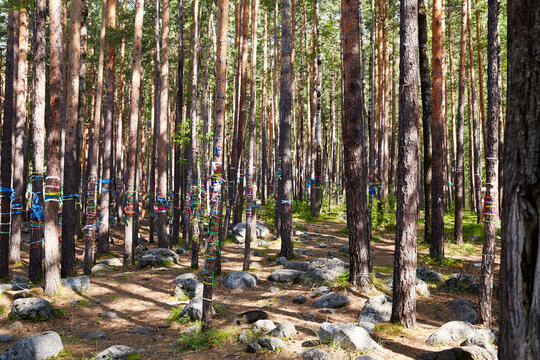 Hadak Billeder – Gennemse 118 stockfotos, vektorer og videoer | Adobe Stock