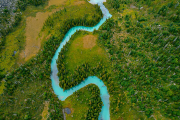 Blue river meander in green forest vegetation of delta Multinskoye lake in mountains Altai sunset,...