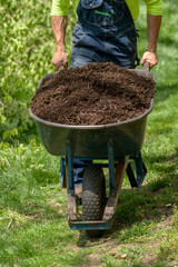 worker pushing wheelbarrow full of brown landscaping mulch