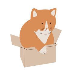 A cute red cat with white socks sits in a small favorite box. Red and brown spotted cats. Flat design style. Vector illustration.